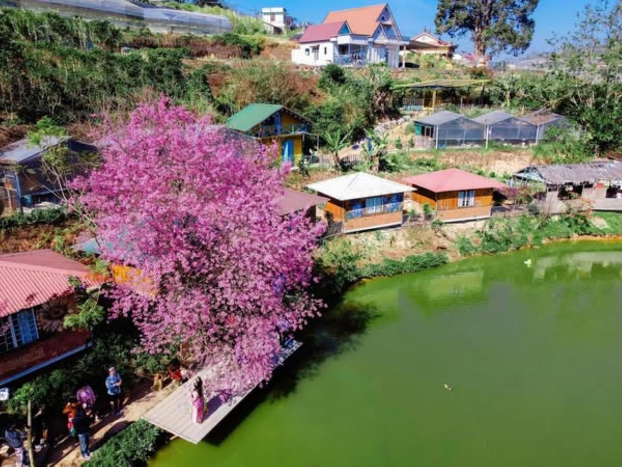 Nha Ben Ho - Da Lat Homestay Exterior foto